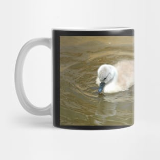 Little Swan Wondering Mug